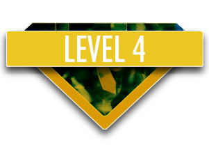 level 4