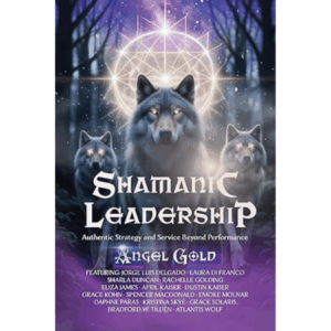 Shamanic Leadership: Authentic Strategy and Service Beyond Performance
